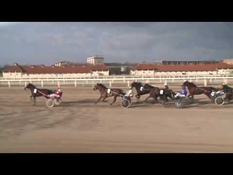 2017.03.11. 5. futam - HAPPY BLUEJAY DÍJ