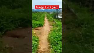 Download lagu mancing kali galeh #mancing #ikan #mancingmania #mancingikan #rawapening #pemancingrawa #ikanrawa mp3 Download lagu mancing kali galeh #mancing #ikan #mancingmania #mancingikan #rawapening #pemancingrawa #ikanrawa mp3