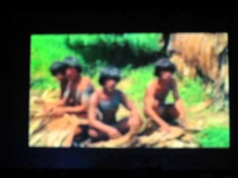 GIALLO DISCO RECORDS 15.08.2014 ARENA WIEN