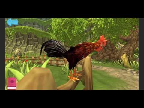 EksploRazi Animal Lite Video