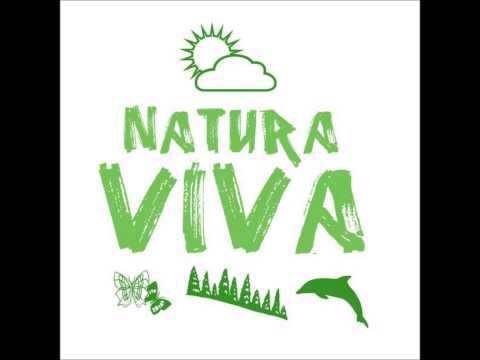 Miguel Reis & Luís Bravo  - Despertar Original Mix / Natura Viva