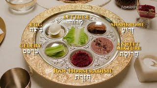 A Visual Guide on The Passover Seder | TORAHFLIX