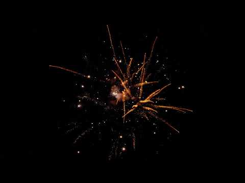 Полотно для лучкової пили по сухому дереву YATO : HCS 65, L= 530 мм [50/200]