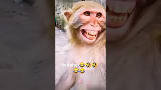 Download lagu hehehehe 🤣😂😂😂🤣 mp3 Download lagu hehehehe 🤣😂😂😂🤣 mp3