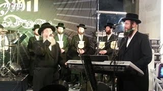 "שיר המעלות" | יוסף צבי ברייער, מקהלת 'מלכות' ותזמורת המנגנים | Shir Hamaalot