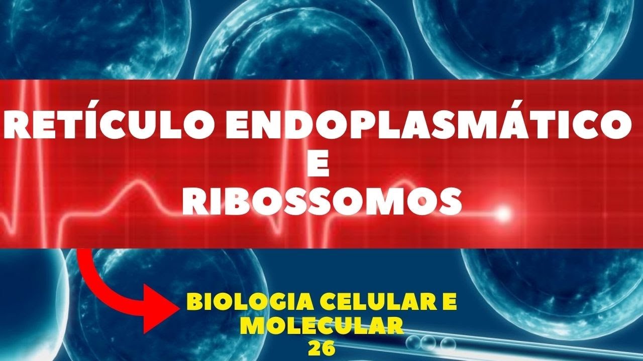 RIBOSSOMOS E RETÍCULO ENDOPLASMÁTICO RUGOSO E LISO - BIOLOGIA CELULAR E MOLECULAR