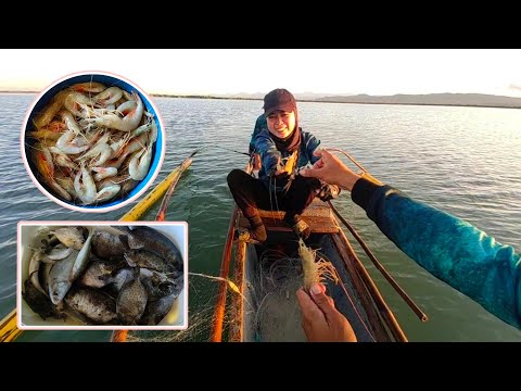 Pag Batak Ng Lambat Ang Daming Hipon At Isda "Catch n' Cook" Vlog151 | IMPERANZA