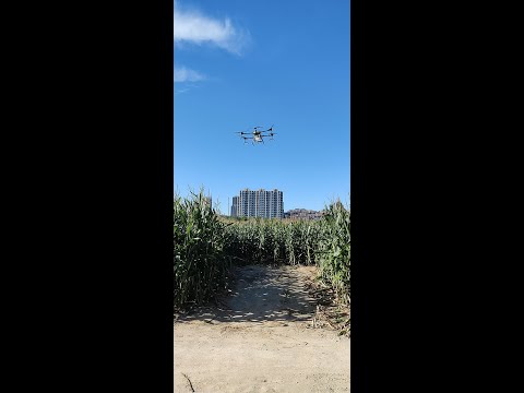 30lt alternative to the DJI drone to fumigate, drone spot sprayer for pepper China manufacturer