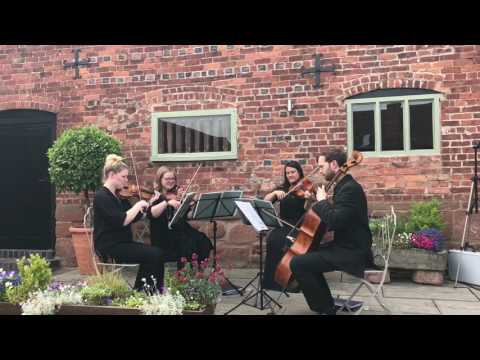 Perhaps Perhaps Perhaps - Vyne String Quartet