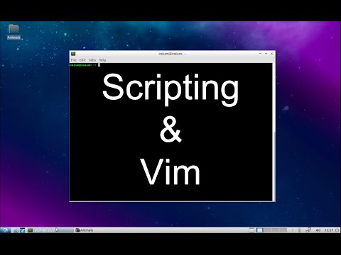 Command Line: Scripting & Vim