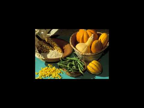 Powhatan Indians of the Eastern Woodlands