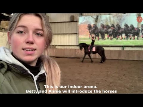 Stal Okkema - A regular day - vlog #003