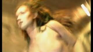 Mesh   Covenant   In Strict Confidence   Wolfsheim