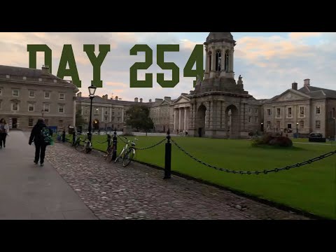 "Eamon, please go and network." | Day 254