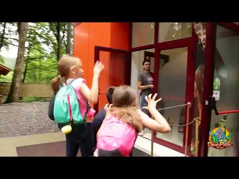 Magic Window AR installation