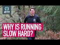 Why Is Running Slow So Hard