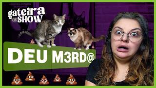 O que você PRECISA SABER sobre COCÔ de Gato | Gateira Live Show #018