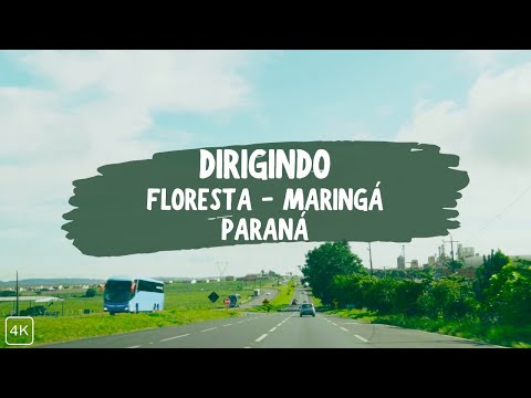 Viagem de Floresta até Maringá | Estradas do Paraná | 4K