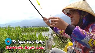 Download lagu Ke Spot Pari Kelep Kampung Rawa Lagi ‼️ Mancing Rawa Pening Terbaru @mboncengmancing #84 mp3 Download lagu Ke Spot Pari Kelep Kampung Rawa Lagi ‼️ Mancing Rawa Pening Terbaru @mboncengmancing #84 mp3