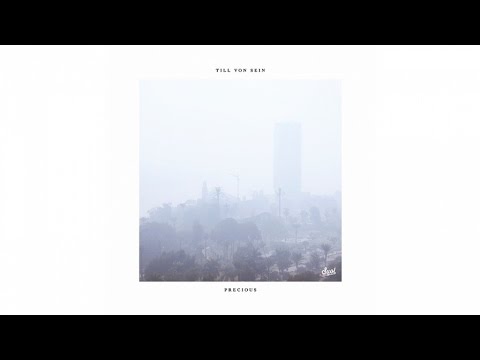 Till Von Sein feat. Mr. V. - The Manifest