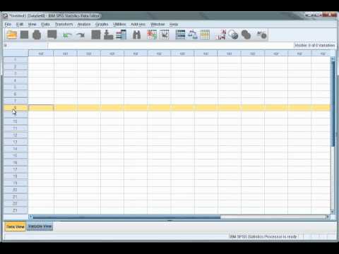 SPSS Tutorial 3 - The SPSS Interface