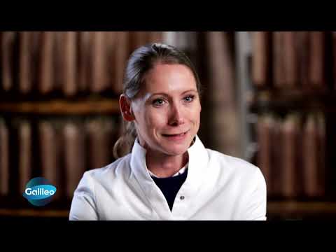 Galileo Metzgerei statt UNO