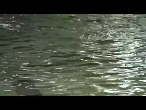 Lausitzbad wird „befüllt“ - LAUSITZWELLE