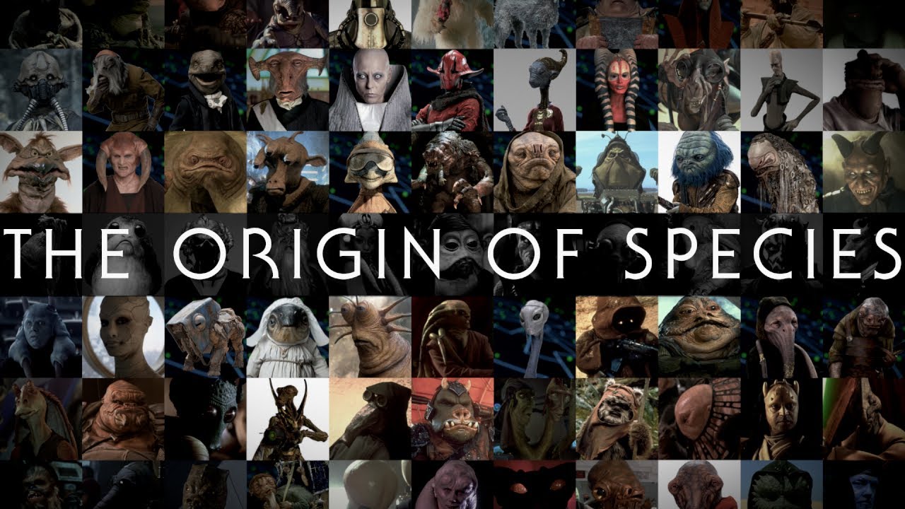 The Origin of Species: How to Design a Star Wars Alien