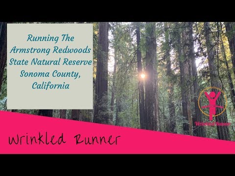 Running in the Armstrong Redwoods State Natural Reserve