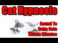 Cat Hypnosis  - Sound To Calm Cats Within Minutes.