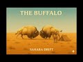 The BUFFALO Sahara Drift Full Album 70s Psychedelic Stoner Space Rock