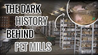 The Dark History Behind Pet Mills