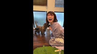 絶対に、30秒であなたを癒します #Shorts