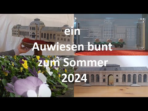 Auwiesen bunt - Sommer 2024