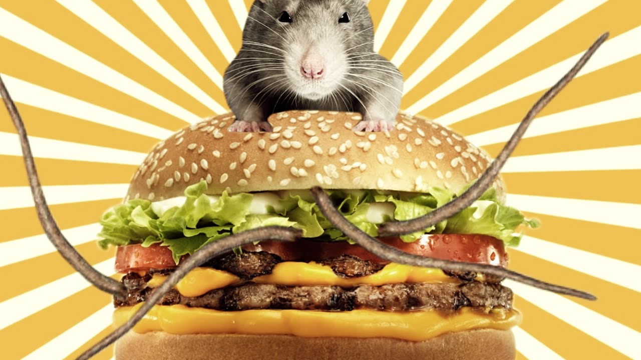DOUBLE RAT BURGER ! - Citizen Burger Disorder thumbnail
