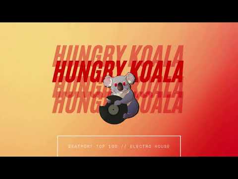 Dj Set Best of Electro House - Beatport Top 100  Hungry Koala Records - Mix by Naylo