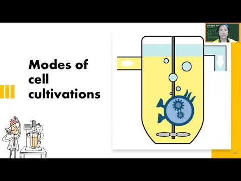 CTU lecture - fermentation modes (part 1/3)