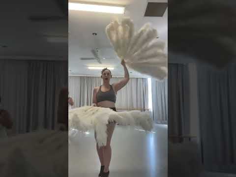 Feather Fan Dance Beginner Workshop- Combination demonstration