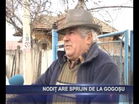 Nodit are sprijin de la Gogosu