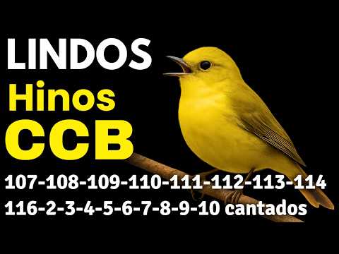 HINOS CCB 107-108-109-110-111-112-113-114-116-2-3-4-5-6-7-8-9-10-11-12-13-14-15-16-17 cantados