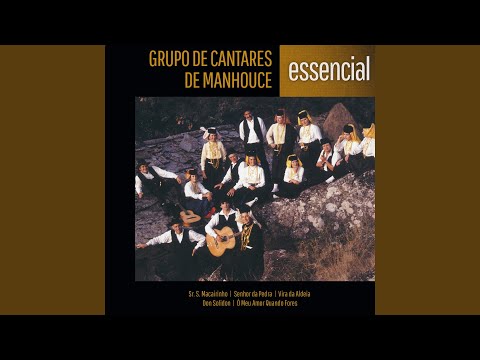 Ó andorinha ligeira