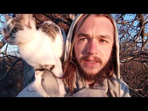 Lichtnahrung erlangen - nichts Essen oder Energiearbeit?