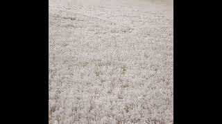 Carousel navigation image position 7 of 7