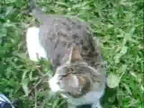 primooooooooooooooooooooo WILHA