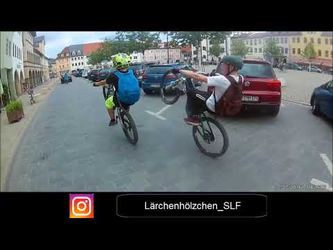 Heizen in der Heimat #1 I Lärchenhölzchen SLF