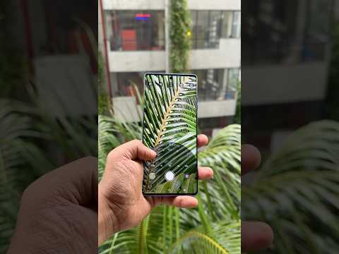 Motorola g96 camera test