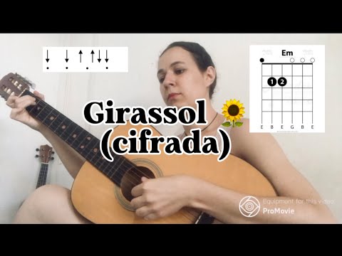 Girassóis - Leonardo Capelin