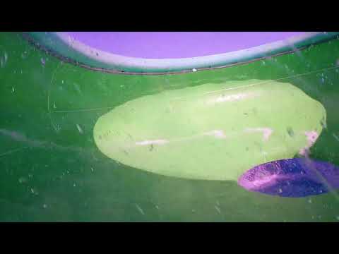 Storm's Eye WaterSlide at Nessebar AquaPark, Bulgaria