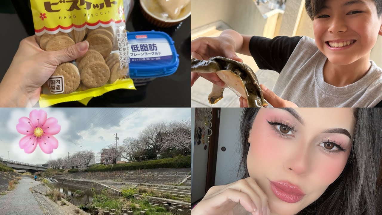 MI HIJO ENCONTRÓ UNA TORTUGA 🐢 YA ESTA LAS FLORES DE CEREZO 🌸 #vlogjapan #vlog #japan   #parati 
