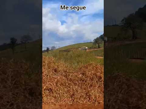 Fox na estrada indo para turvolândia Minas Gerais